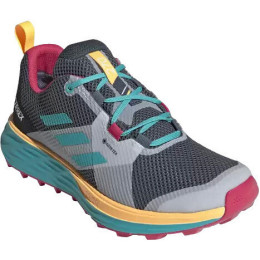 Жіночі черевики Adidas Terrex Two Gtx W