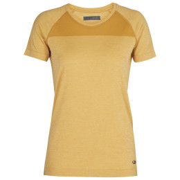 Жіноча футболка Icebreaker W Motion Seamless SS Crewe