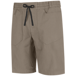 Чоловічі шорти Wild Country Flow M Short