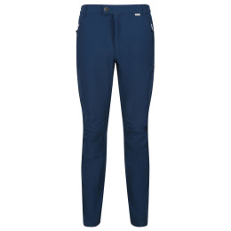 Чоловічі штани Regatta Highton Trs