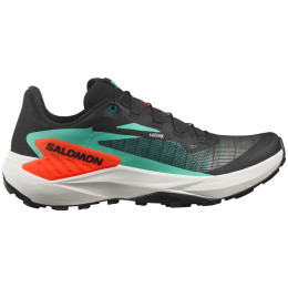 Чоловічі черевики Salomon Genesis