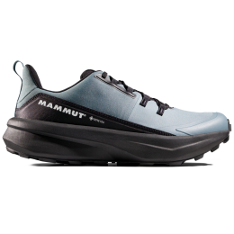 Чоловічі черевики Mammut Aenergy Hike Low GTX Men