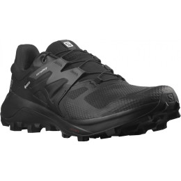 Чоловічі черевики Salomon Wildcross 2 Gore-Tex чорний