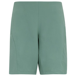 Жіночі шорти Regatta Women’s Pentre Lite Shorts блакитний Ivy Moss
