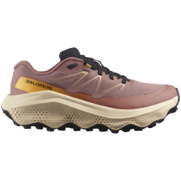 Жіночі кросівки Salomon Ultra Flow 2 Gore-Tex