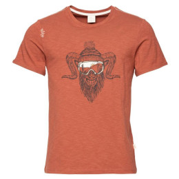 Чоловіча футболка Chillaz Rock Hero Winter коричневий brick