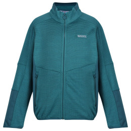 Дитяча толстовка Regatta Highton WtrFZ III