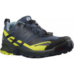 Чоловічі черевики Salomon Xa Rogg 2 Gore-Tex синій