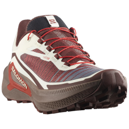 Чоловічі кросівки Salomon Genesis 2