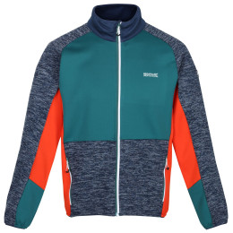 Чоловіча толстовка Regatta Coladane IV