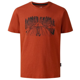 Дитяча футболка Dare 2b Trailbazer III Tee Arabian Spice коричневий ArabianSpice