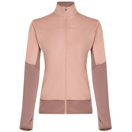 Жіноча функціональна толстовка Icebreaker Women Merino Blend 300 RealFleece™ Descender LS Zip рожевий Summit/Blush/Cb