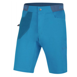 Чоловічі шорти Direct Alpine Campus Short 2022