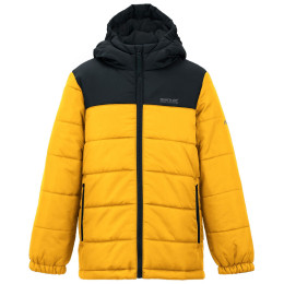 Дитяча зимова куртка Regatta Lofthouse Black/Mustard