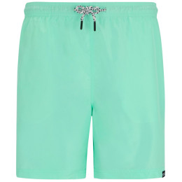 Чоловічі шорти Regatta Mackleyna Swim Short