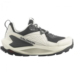 Жіночі черевики Salomon Elixir Gore-Tex