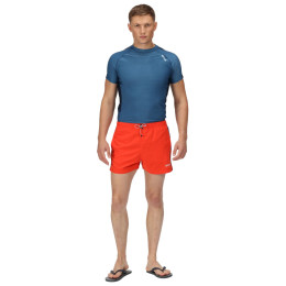 Чоловіча футболка Regatta SS Rash Guard синій