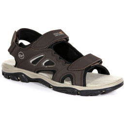 Чоловічі сандалі Regatta Holcombe Vent