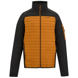 Чоловіча куртка Regatta Ceden Hybrid коричневий PumpkSp/Blk
