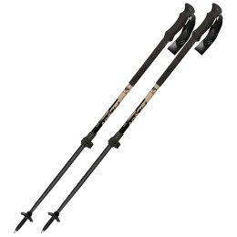 Скітурові палиці Fizan Aria