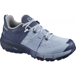 Жіночі черевики Salomon Odyssey Gtx W