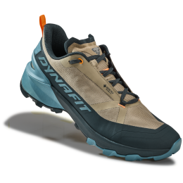 Чоловічі черевики Dynafit Transalper 2 Gtx
