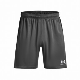 Чоловічі шорти Under Armour M's Ch. Knit Short сірий/зелений Gray