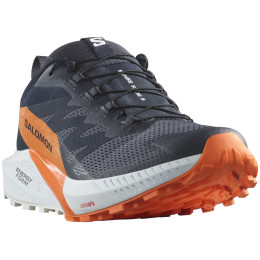 Чоловічі кросівки Salomon Sense Ride 5 Gore-Tex
