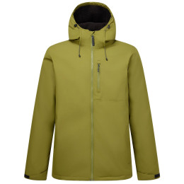 Чоловіча зимова куртка Regatta Frankie Insulated хакі NephiteGreen