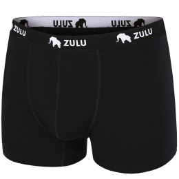 Чоловічі боксери Zulu Merino 160 4in