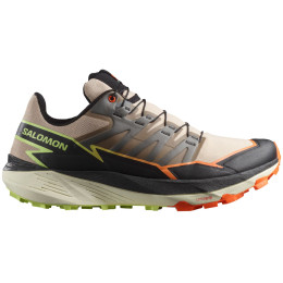 Чоловічі черевики Salomon Thundercross