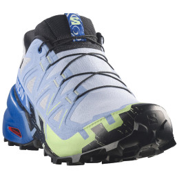 Чоловічі кросівки Salomon Speedcross 6 GTX Icon