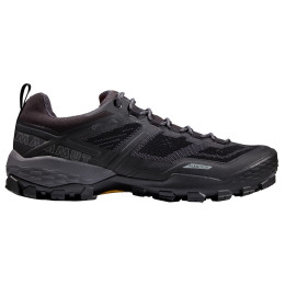 Чоловічі черевики Mammut Ducan Low GTX® Men
