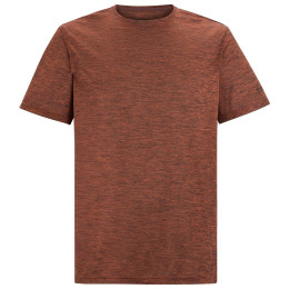 Чоловіча футболка Regatta Fingal Edition