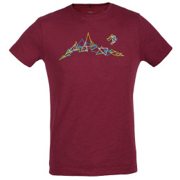 Чоловіча футболка Direct Alpine Bosco