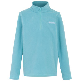 Дитяча толстовка Regatta Hot Shot II блакитний Nordic Blue