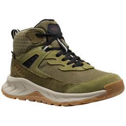 Дитяче взуття Keen Hightrail Mid Wp Youth Dark Olive зелений dark olive/martini olive