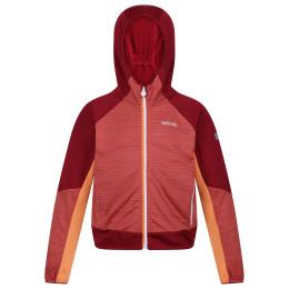 Дитяча толстовка Regatta Prenton II червоний Mineral Red/Rumba Red