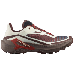 Чоловічі кросівки Salomon Genesis 2