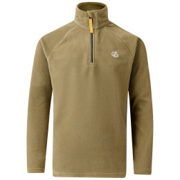 Дитяча толстовка Dare 2b Freehand Fleece MartiniOlive зелений MartiniOlive