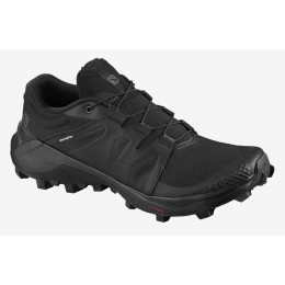 Жіночі черевики Salomon Wildcross W