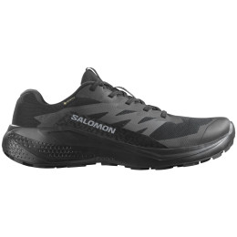 Чоловічі черевики Salomon Alphaglide Gore-Tex