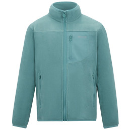 Дитяча толстовка Regatta Junior Frankie F/Z Ivy Moss світло-зелений Ivy Moss
