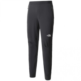 Чоловічі штани The North Face Ao Woven Pant темно-сірий