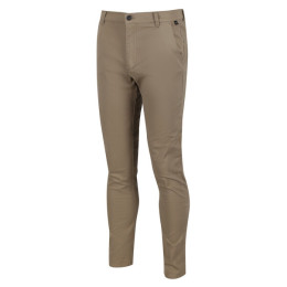 Чоловічі штани Regatta Sandros Trouser бежевий
