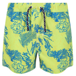 Дитячі шорти Regatta Skander II зелений/синій