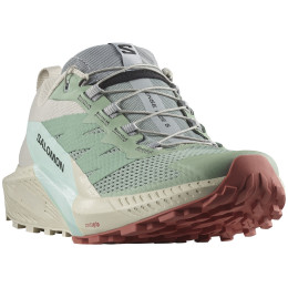 Жіночі кросівки Salomon Sense Ride 5 світло-зелений Lily Pad / Rainy Day / Bleached Aqua