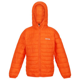 Дитяча куртка Regatta Jr Hooded Hillpck