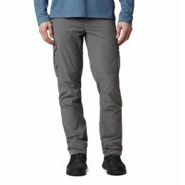 Чоловічі штани Columbia Silver Ridge™ II Cargo Pant