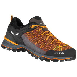 Чоловічі черевики Salewa Ms Mtn Trainer Lite